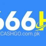 666H Game