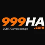 999HA Game